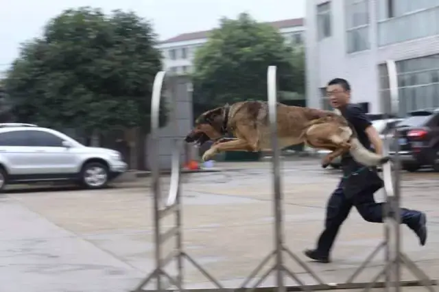 制定篮球交流计划以促进个人技能发展的方法_1